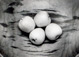 <em>Untitled (4 apples, New York),</em> 1964<br />Gelatin silver print<br />Image: 6 1/2 x 9"; Mount: 14 x 17"