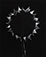 Paul Caponigro (b. 1932)<br><em>Backlit Sunflower, Winthrop, Massachusetts</em>, 1965</br>Gelatin silver print