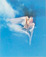 <em>Barn Swallow, Hirundo Rustica Erythrogaster, Greast Spruce Head Island, Maine,</em> 1974, printed 1979<br>Dye-transfer print