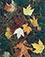 <em>Maple Leaves and Pine Needles, Tamworth, New Hampshire</em>, 1956<br>Vintage dye-transfer print 