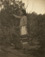 <em>Indian Plucking Cedar Branch,</em>1925<br>Vintage platinum print</br>Image: 9 1/2 x 7 1/2"; Mount (1): 9 5/8 x 7 1/2"; Mount (2): 18 x 14"