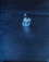 John Dugdale (b. 1960)<br><em>Self Portrait in Rondout Creek</em>, 1995</br>Cyanotype<br>Image: 9 1/2 x 7 1/2"