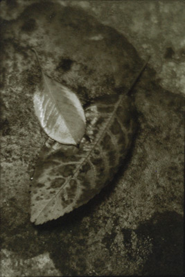 <em>Duality,</em> 1944<br />Toned gelatin silver print<br />Image: 7 x 4 5/8"   