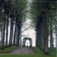 <em>Annevoie, Belgium</em>, 2004<br />C-print<br />Image: 19 x 19"