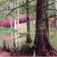 <em>Zemurray Gardens, Near Loranger, Louisiana</em>, 2000<br>C-print</br>Image: 19 x 19"