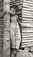 <em>Untitled (Young boy Standing by Bamboo Shack),</em>c. 1950s/1960s<br />Gelatin silver print<br />Image: 12 1/8 x 7"