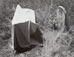 Van Deren Coke<br><em>Untitled (Tombstone and cloth),</em> 1955<br />Vintage gelatin silver print<br />Image: 7 3/8 x 9 5/8"; Mount: 13 x 13"