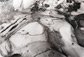 <em>Seastone Garden, Salt Point, California,</em> 1986<br />Gelatin silver print<br />Image: 8 5/8 x 12 5/8"