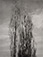 Alfred Stieglitz (1864-1946)<br><em>The Two Poplars, Lake George</em>, 1934</br>Vintage gelatin silver contact print  
