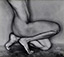 Edward Weston<br><em>Nude (62N)</em>, 1927, printed by Cole Weston</br>Gelatin silver print