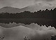 Nancy Newhall<br><em>Black Mountain, NC Landscape</em>, 1948</br>Vintage gelatin silver contact print 