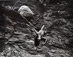 Walter Chappell<br /><em>Untitled (Nude on Cliff Wall)</em></br>Gelatin silver print