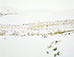 Eliot Porter (1901 - 1990)<br><em>Snow on Sand Dunes, Colorado</em>, 1959, printed 1963</br>Vintage dye transfer print<br>Image: 7 3/4 x 10"; Mount: 15 x 20"