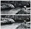 Beaumont Newhall (1908 - 1993)<br><em>Edward Weston Photographing, Point Lobos, China Cove, CA</em> (diptych), 1940</br>Vintage gelatin silver prints<br>