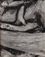 Paul Strand</br><em>Driftwood, Maine,</em> 1928, printed 1960s<br>Gelatin silver print</br>Image: 9 5/8 x 8 5/8"; Paper: 10 x 8"