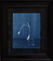 JOHN DUGDALE (B. 1960)<br><em>Lone Tulip,</em> 1999</br>Cyanotype