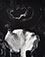 <em>Fungus, Ipswich, Massachusetts</em>, 1962<br> Gelatin silver print</br>Image: 13 1/4 x 10 1/2"; Mount: 22 x 18"