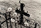 Beaumont Newhall (1908 - 1993)<br><em>Grave, Trampas, New Mexico</em>, 1980, printed 1992</br>Gelatin silver print