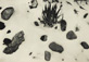 <em>Untitled [Rock and Cactus in Snow, Holiday Card]</em><br />Gelatin silver print<br />Image: 4 5/8 X 6 1/2; Mount: 5 1/2 x7