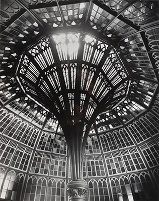 <em>The Iron Flower</em>, 1949<br>Vintage ferrotyped gelatin silver print</br>Image: 13 1/4 x 10 3/4"; Paper: 14 1/8 x 11 1/4"; Mount: 18 x 14"