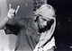 <em>Del The Funky Homosapien</em>, 2002