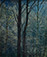 <em>Great Smoky Mountains National Park,</em> 1968<br />Dye transfer print<br/>