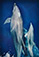 <em>Porpoises,</em> 1966<br/>Vintage dye transfer print<br/>