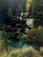 <em>Spruce Trees and River,</em> 1959<br />Vintage dye-transfer print<br />