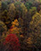 <em>Colorful Trees, Newfound Gap Road, Great Smokey Mountains National Park, Tennessee</em>, 1967