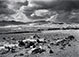 <em>The Little Shepherd</em>, 1950<br>Gelatin silver print</br>Image: 14 1/4 x 19 7/8"