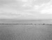 Harry Callahan<br><em>Volleyball Net on Beach, Cape Cod</em>, 1972</br>Gelatin silver print