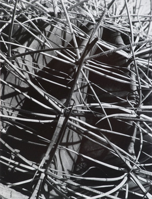 <em>Spines,</em>1925<br />Gelatin silver print<br />Image: 13 1/16 x 10 1/16": Mount: 20 x 16"