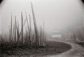 Kenro Izu<br><em>Druk #129, Do Chu La, Bhutan</em>, 2003</br>Platinum palladium print