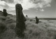 <em>Easter Island 9</em>, 1989<br>Platinum-Palladium print