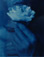 John Dugdale<br><em>Ling'ring Near the Rose</em>, 1988</br>Cyanotype