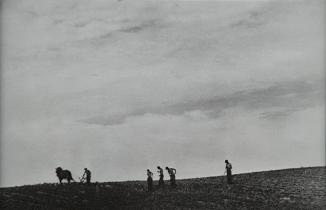 <em>Famers Plowing Field</em>, nd<br>Gelatin silver print</br>Image: 4 1/4 x 3 1/8"; Paper: 5 1/2 x 3 1/2