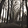 <em>Damme Belgium</em>, 1992<br>Gelatin silver print</br>Image: 25 x 25"