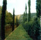 <em>Villa Cetinale, Italy</em>, 2000<br />C Print<br />Image: 19 x 19"; Paper: 24 x 20"