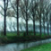 <em>Damme, Belgium</em>, 2004<br>C-print</br>Paper: 19 x 19"