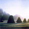 <em>Parc d'Esclimont, France</em>, 1999<br />C-print<br />Image: 19 x 19"; Paper: 24 x 20"