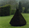 <em>Annevoie, Belgium</em>, 2004<br />C-print<br />Image: 19 x 19"