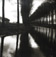 Lynn Geesaman<br><em>Damme Belgium</em>, 1992</br>Gelatin silver print