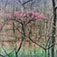 <em>Bernheim Arboretum, Kentucky</em>, 1993<br>C Print</br>Image: 19 x 19"; Paper: 24 x 20"