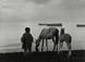 Manuel Carrillo (1906 - 1989)<br><em>Boy Watering Horses, Catemaco</em>, 1956, Printed c. 1970s</br>Gelatin silver print<br>Image: 8 1/8 x 10 7/8"