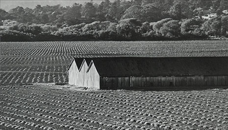<em>Artichoke Fields, Carmel Valley</em>, 1975<br>Vintage gelatin silver print</br>Image: 5 1/2 x 9 1/2"; Mount: 12 5/8 x 15 1/2"