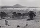 Pirkle Jones<br><em>Landscape, Jackson, California</em>, 1948</br>Gelatin silver print<br>Image: 9 1/4 x 13 1/4"; Paper: 11 x 14"