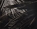 <em>Untitled (Palm Leaves)</em>, 1951<br>Gelatin silver print</br>Image: 7 3/4 x 9 1/2"; Paper: 8 x 10"
