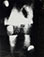 Gyorgy Kepes<br><em>Untitled (Abstraction)</em>, 1947</br>Gelatin silver print<br>Image: 9 3/4 x 7 3/4"; Paper: 10 x 8"; Mount: 14 x 12"
