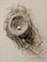 Yumiko Izu<br><em>Icarus 2</em>, 2016, printed 2018<br>Platinum palladium print</br>Image: 13 7/8 x 10 1/2"
