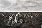 Edouard Boubat<br><em>Ile de France</em>, 1989</br>Gelatin silver print